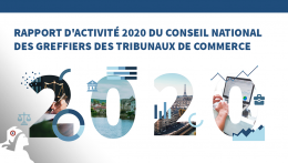Rapport d'activité 2020 de la Profession